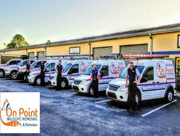 Photos by on Point Wildlife Removal #1