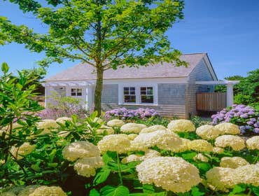 Photos by Vineyard Construction #1