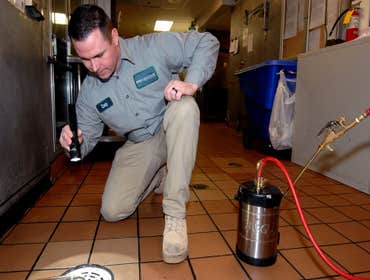 Photos by Preventive Pest Control ST. George #1