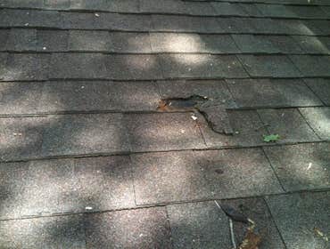 Germantown Tree Damage This is where a Tree limb broke doing damage to the roof and skylights. We went out and repaired the problem by replacing the 