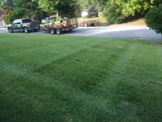 Photos by Don Cele Landscaping #1