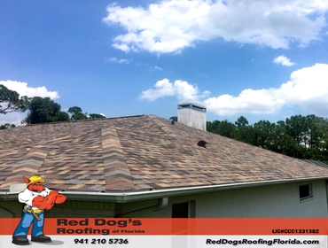 Photos by Red dog's Roofing of Florida #1