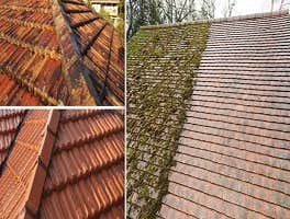 Photos by North West Fresh Roof #1