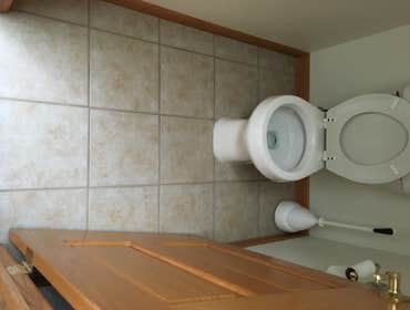 Tile Bathrooms floors and backsplash