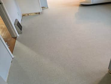 Hals Carpet & Vinyl Project