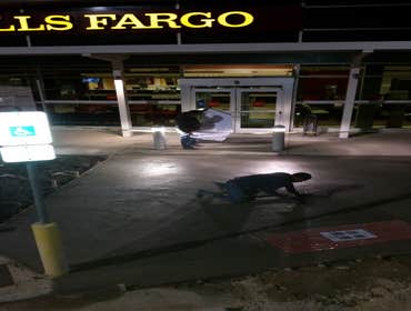 WELLS FARGO
