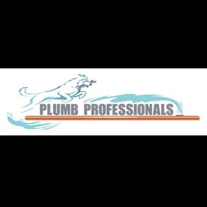 Plumb Professionals LLC
