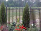 Fences