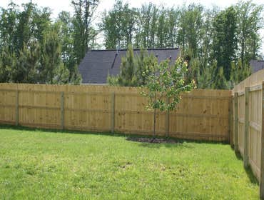 Fences