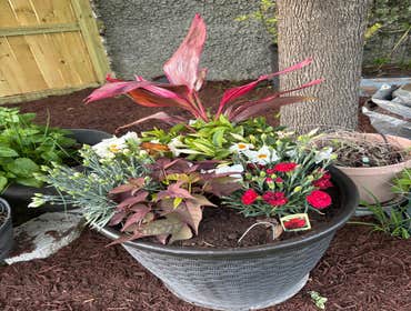 Photos by Beauty Meister Landscaping LLC #2
