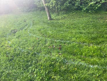 Photos by Jose's Lawn & Landscape #24
