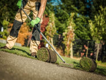 Photos by Phx Landscaping Services #1