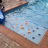 Orca Pools, LLC
