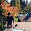Skyriver Roofing LLC logo