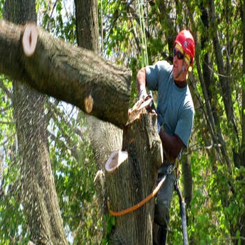 H&S Landscaping