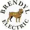 Brendyl Electric logo