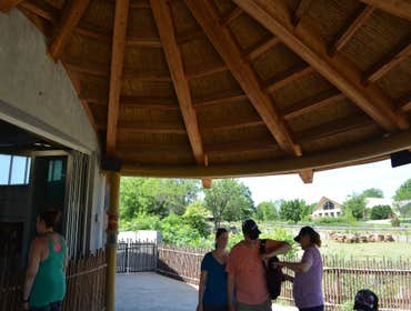 Tulsa Zoo - Rhino Exhibit Viewing Canopy