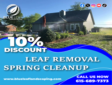 Photos by Blue Leaf Landscaping #11