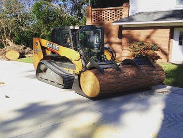 Tree Removal/Trimming