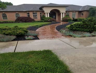 Photos by Amigos Lawn Care & Tree Service #1