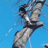J Tree Service LLC
