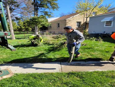 Photos by Tree and Snow Removal Service LLC #6