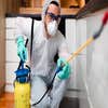 Horse Capital Termite Removal Experts logo