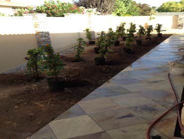 arizona sand stone walkway