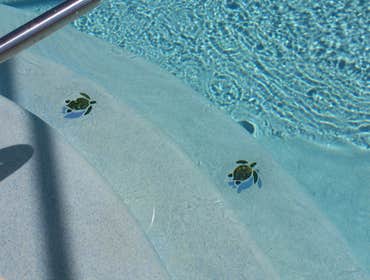 Photos from Destiny Pools And Spas