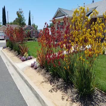 Palmeras Landscape Services Inc