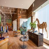 Anthropologie