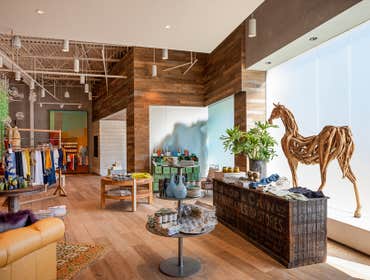 Anthropologie
