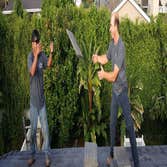 South County Roofing