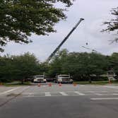 Bartlett Tree Service