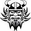 Viking Roof Systems logo
