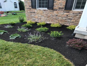 Photos by Ed Francos Simply Green, LLC #1