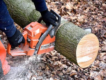 Photos by Greenwood Tree Service #1