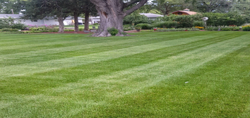 Bam Lawns
