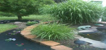 Shane's Unique Landscape And Design LLC Pond