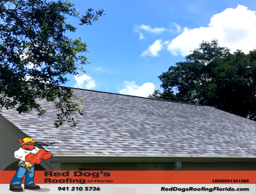 Photos by Red dog's Roofing of Florida #1
