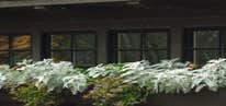Flower Boxes on Garage