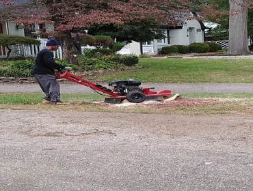 Stump Grinding