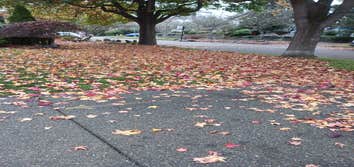 Photos by Santos Landscaping of Wa LLC #2