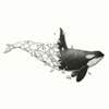 Orca Construction Co LLC logo