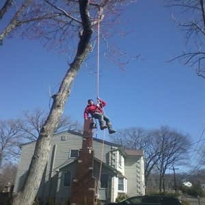 Works by Final Touch Tree Serv