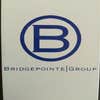 Bridgepointe Group Inc logo