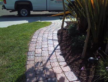 Photos from Newcomb Tree Experts Inc