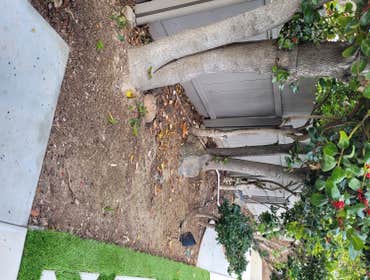 Before planting & mulch