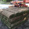 Petrella Landscaping & Lawncare logo