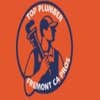 Top Plumber Fremont Ca Pros logo